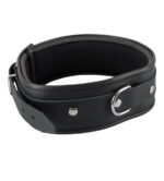 Leren Halsband met D-Ring